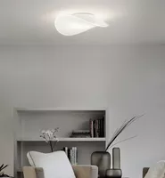 Balance Ceiling / Wall Light