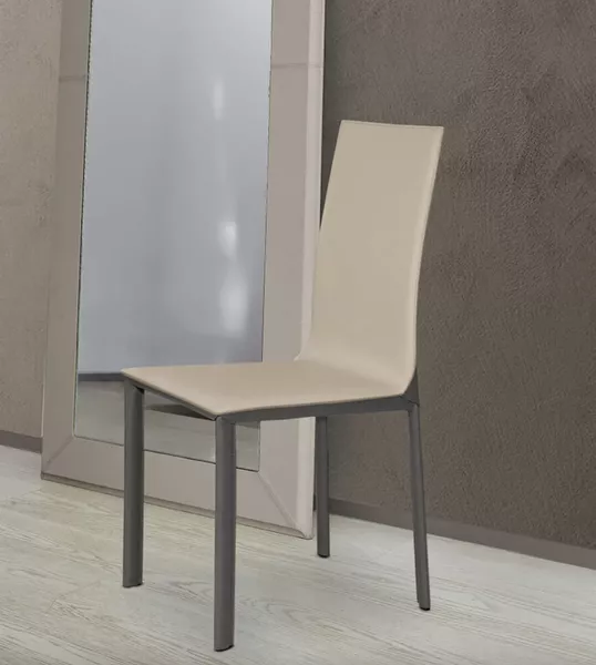 Stella Color Dining Chair