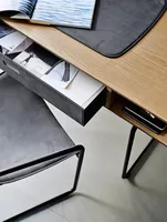 Apelle Desk