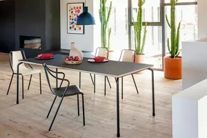 Master Extendable Table