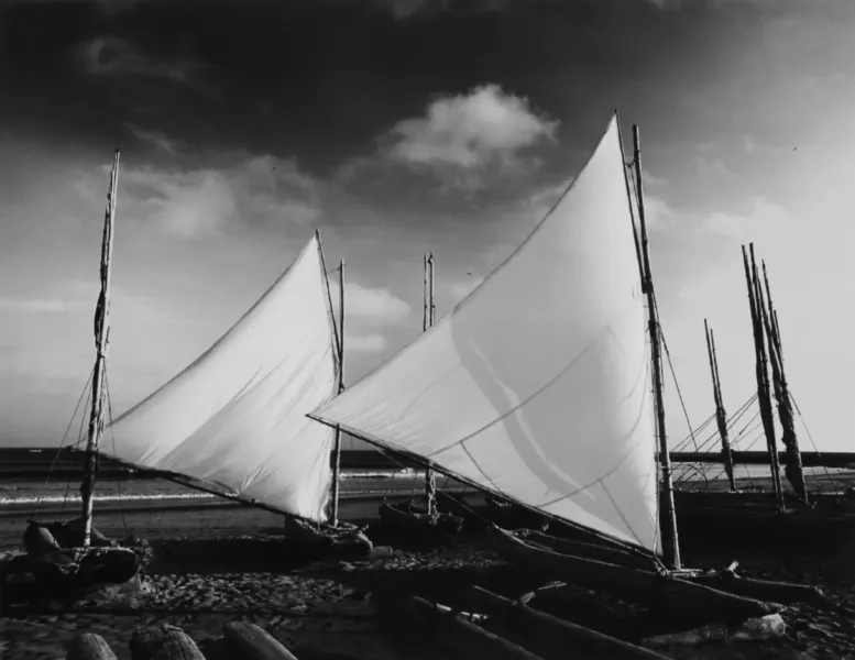 Sail Boats Photograph