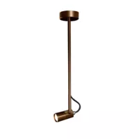 Regolo Ceiling Mount