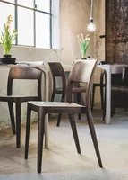 Nene Dining Chair